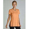 5 Pack Women’s Dry Fit V Neck T Shirts Workout Athletic Gym Yoga Basic Tops(Set 2)