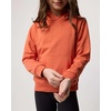 3 Pack Girls’ Fleece Pullover Hoodies Sweatshirts Sweaters Kids Teens Tops(Set 5)