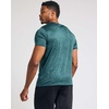 5 Pack Men’s Dry Fit V Neck Workout T Shirts Athletic Gym Fitness Tees(Set 15)