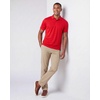 3 Pack Men’s Short Sleeve Golf Polo Collared Athletic Tennis Shirt Casual(Set F)